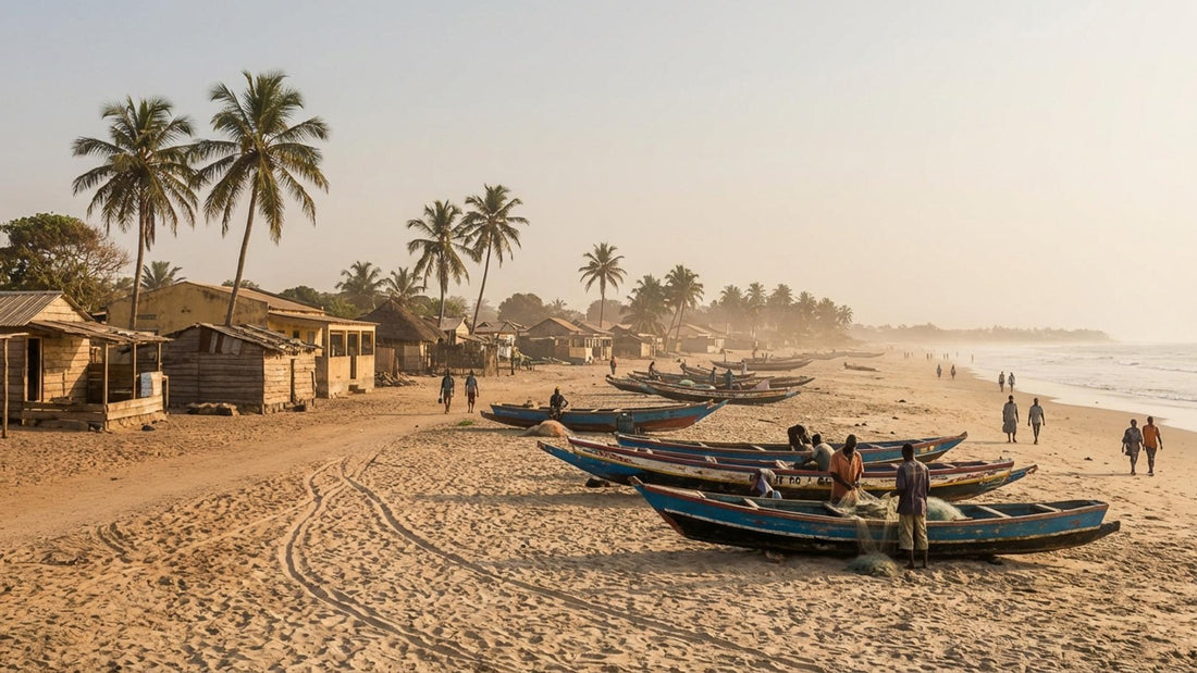 ROOTS IN GAMBIA