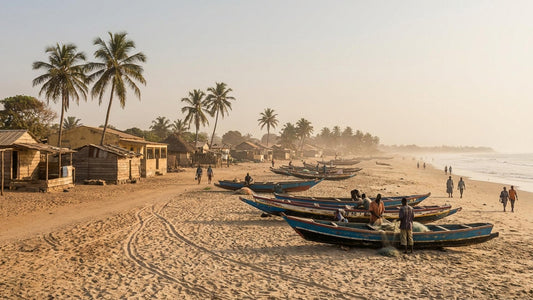 ROOTS IN GAMBIA